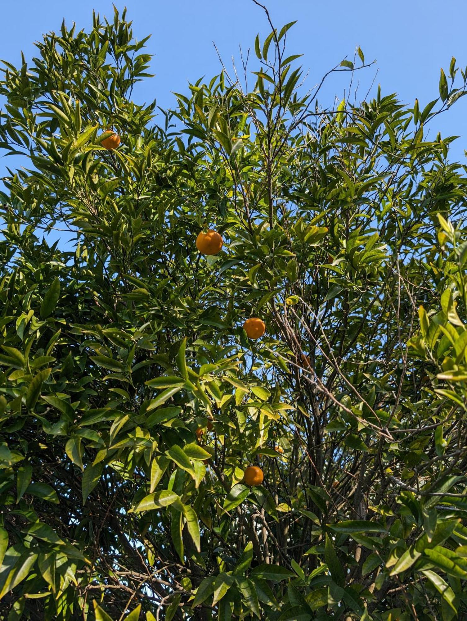 מלון Sintra Lagon מראה חיצוני תמונה